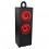 10W Wooden speaker with shock film(135*295*300mm)