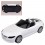 Car speaker