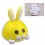 mini speaker