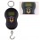 handcarry electronic scale