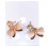 The Gloden Earrings 