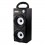 14W powerful wooden speaker(160*360*140mm)