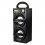 14W powerful wooden speaker(160*360*140mm)