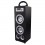card reader wooden speaker(136X130X396mm)