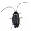Solar Cockroach,Solar Toy,Black Color Tricky Toy