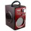 Wooden speakers
