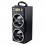 16W wooden speaker (180*400*140mm)