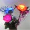 led rose light