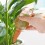 Watering Kettle Automatic Dripper Creative Bird Shape Flower Pot Perspective Water Can Garden Plants Irrigation Pot