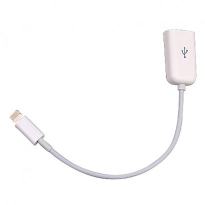 OTG cable for iPhone 5s